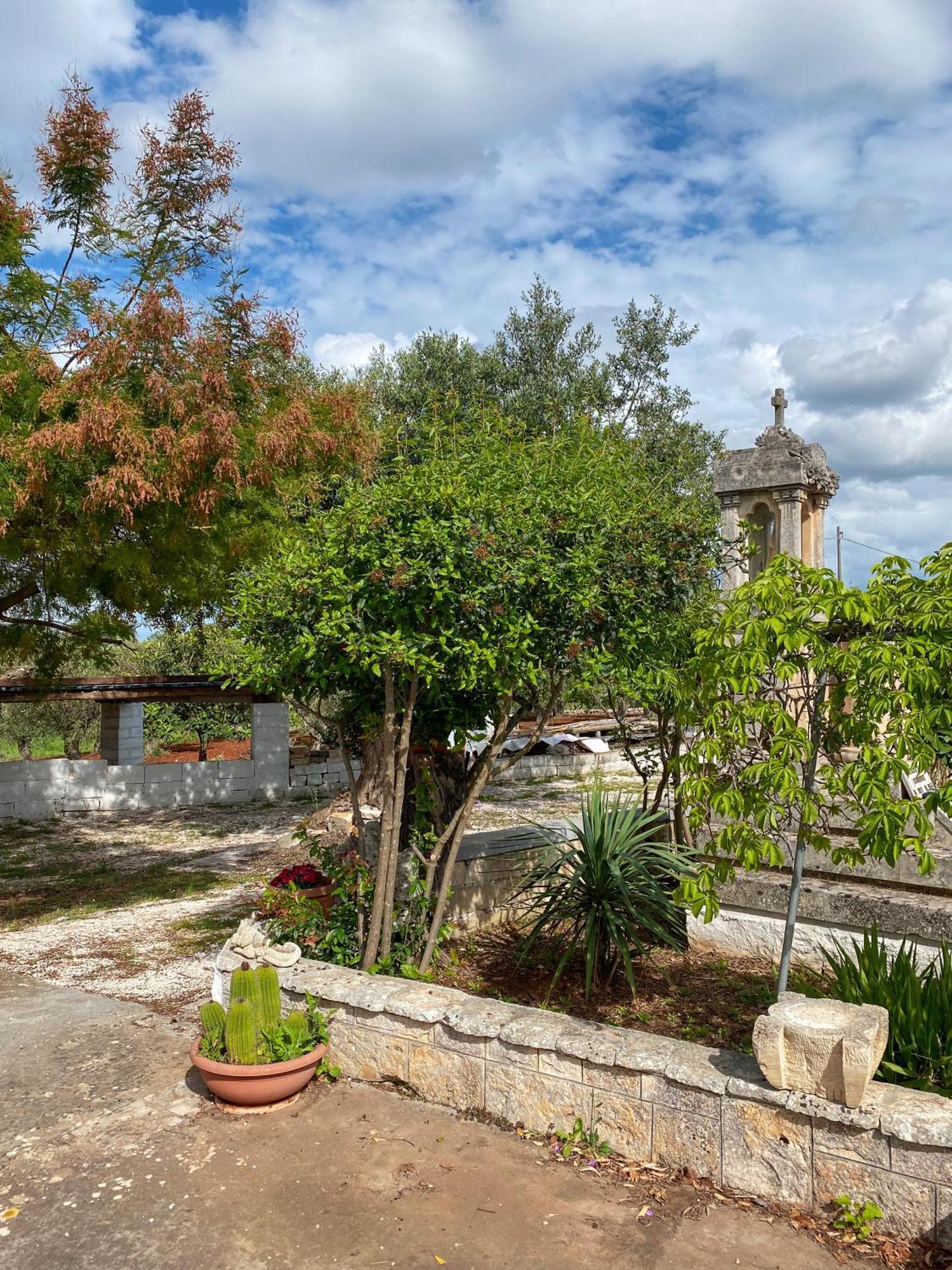 Apartament Trullo Pinto Locorotondo Zewnętrze zdjęcie